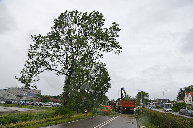 2023/113/20230705-10u16 GB 006 Stormschade Schipholweg BHD-oost.jpg